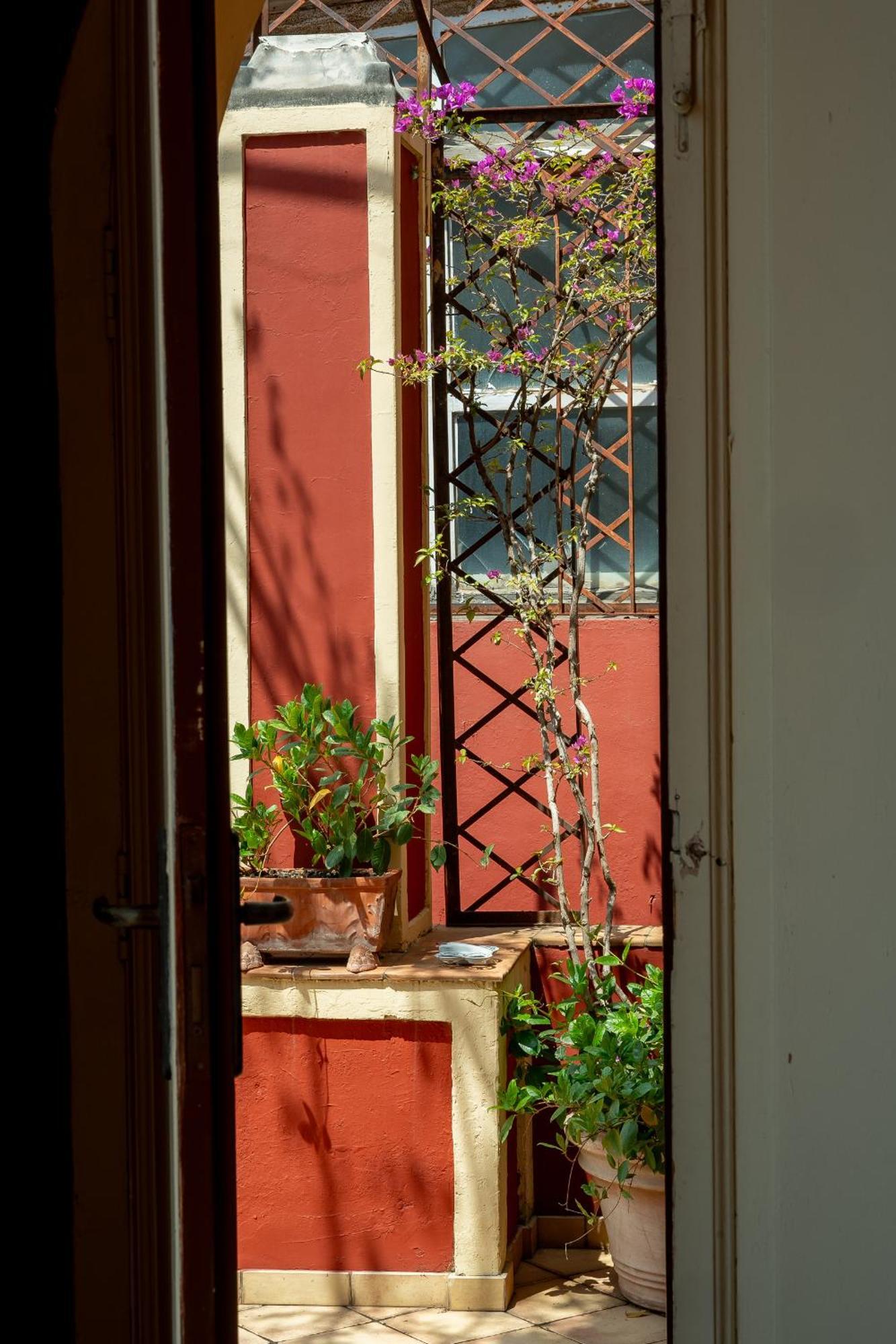Casa Teodora - Apartamento Positano